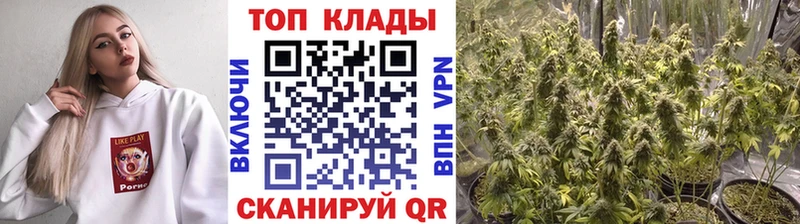 Купить закладку КОКАИН  Каннабис  Меф  А ПВП  Псилоцибиновые грибы  ГАШИШ  Красавино