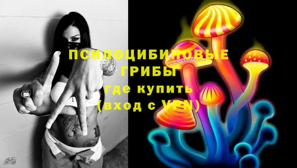 синтетический гашиш Елизово