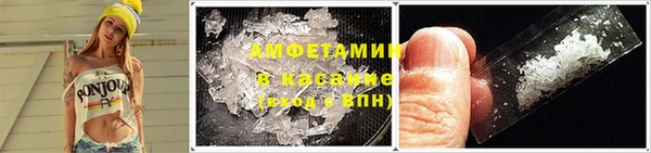 шишки Ельня