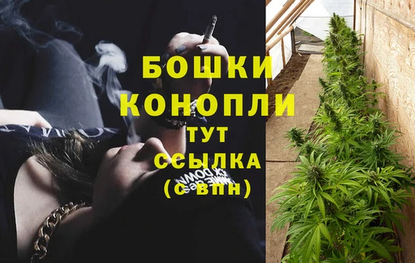 амфетамин Горнозаводск