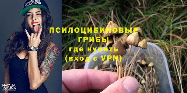крисы Вяземский