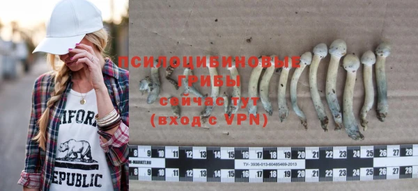 а пвп мука Горняк