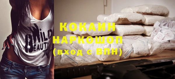 шишки Ельня