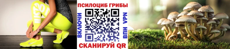 Псилоцибиновые грибы MAGIC MUSHROOMS  Купить закладки  Красавино 